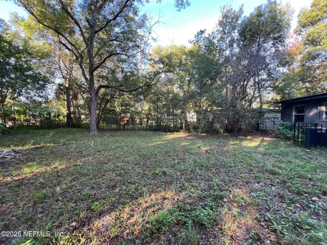 a view of a yard with large trees