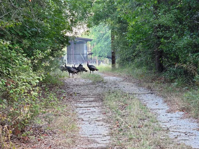 a backyard of a house with seating space