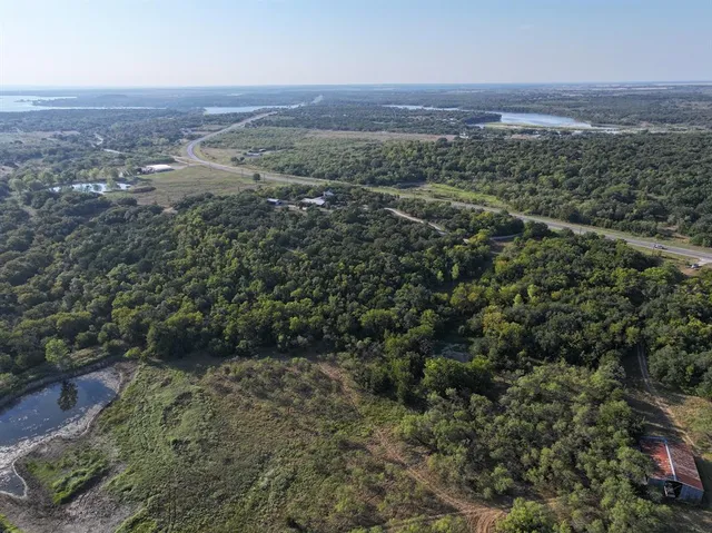 a view of a forest with a yard