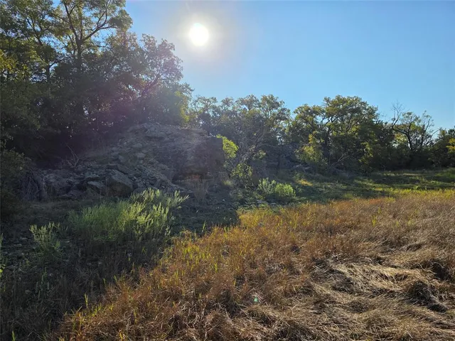a view of a forest with a street