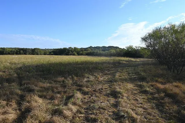 a view of a lake with lots of trees