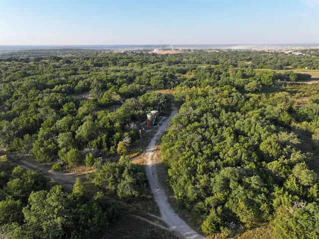 an aerial view of forest
