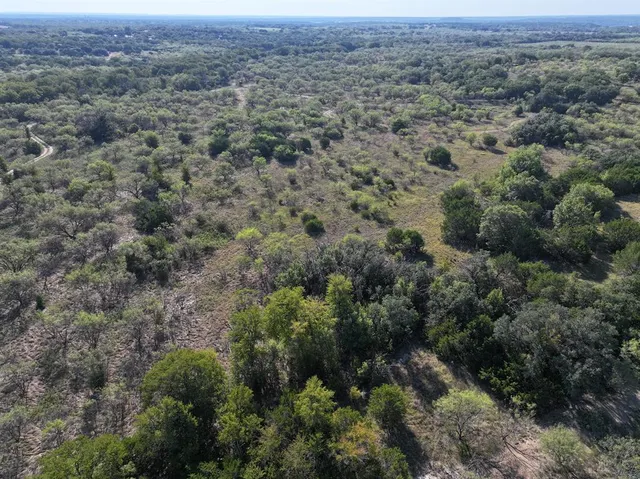 a view of a field of grass and trees