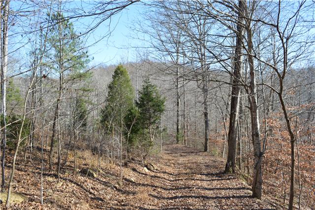 996 Pack Road White Bluff, TN 37187 - Photo 8 of 13 Gallery Image 8