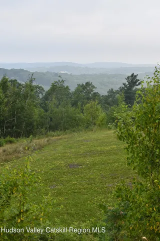 a view of a field with an ocean