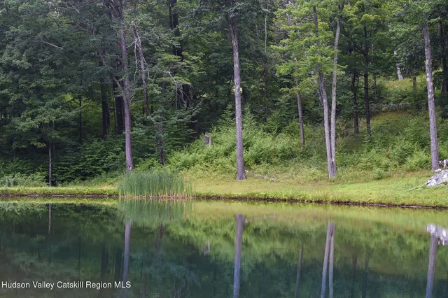 a view of a lake in middle of forest