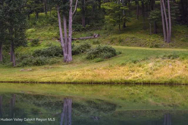 a view of a field with trees in the background