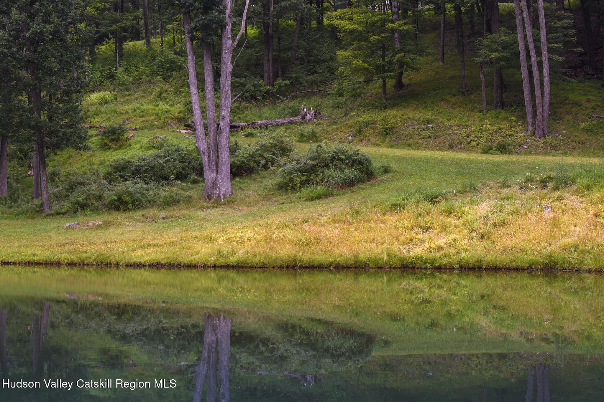 190 Mallory Road Chatham, NY 12037 - Photo 15 of 26 a view of a ocean view