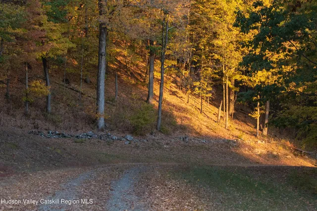 a view of outdoor space with trees