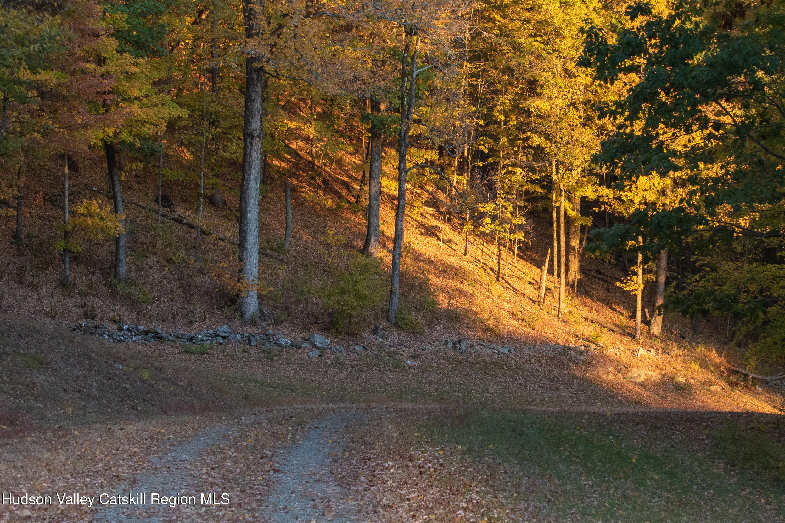190 Mallory Road Chatham, NY 12037 - Photo 17 of 26 a backyard of a house with lots of green space