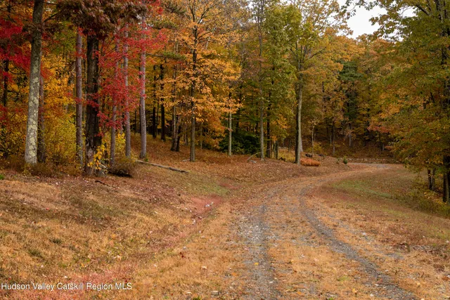 a view of a yard with trees