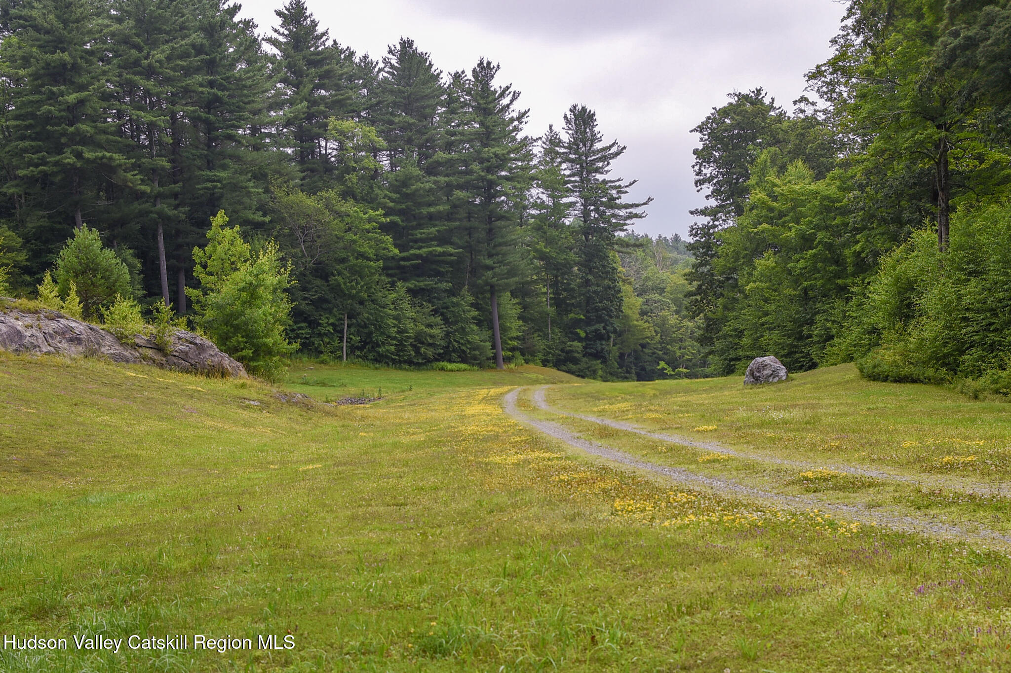 190 Mallory Road Chatham, NY 12037 - Photo 19 of 26 a view of a yard with trees