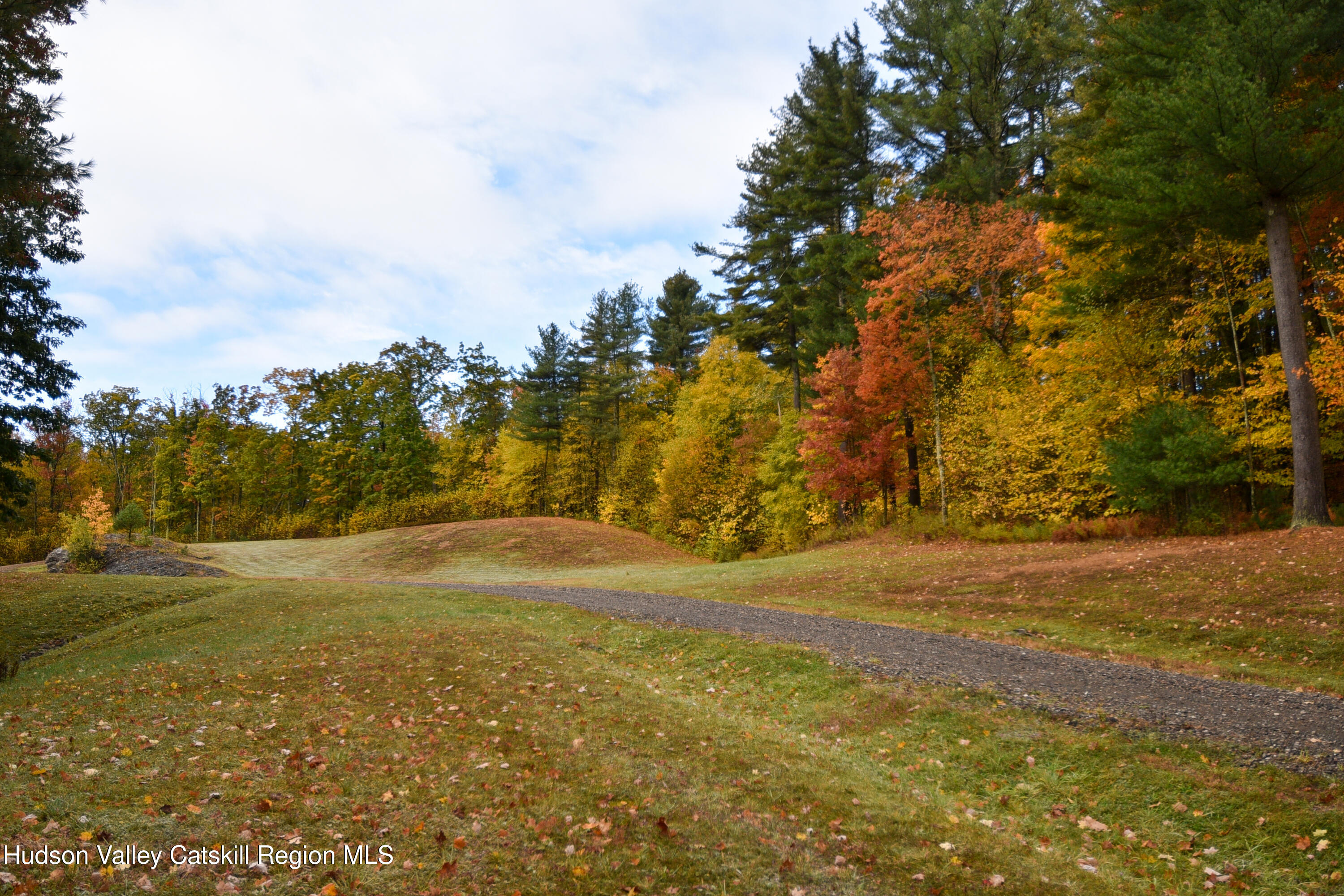 190 Mallory Road Chatham, NY 12037 - Photo 21 of 26 a view of yard with large trees