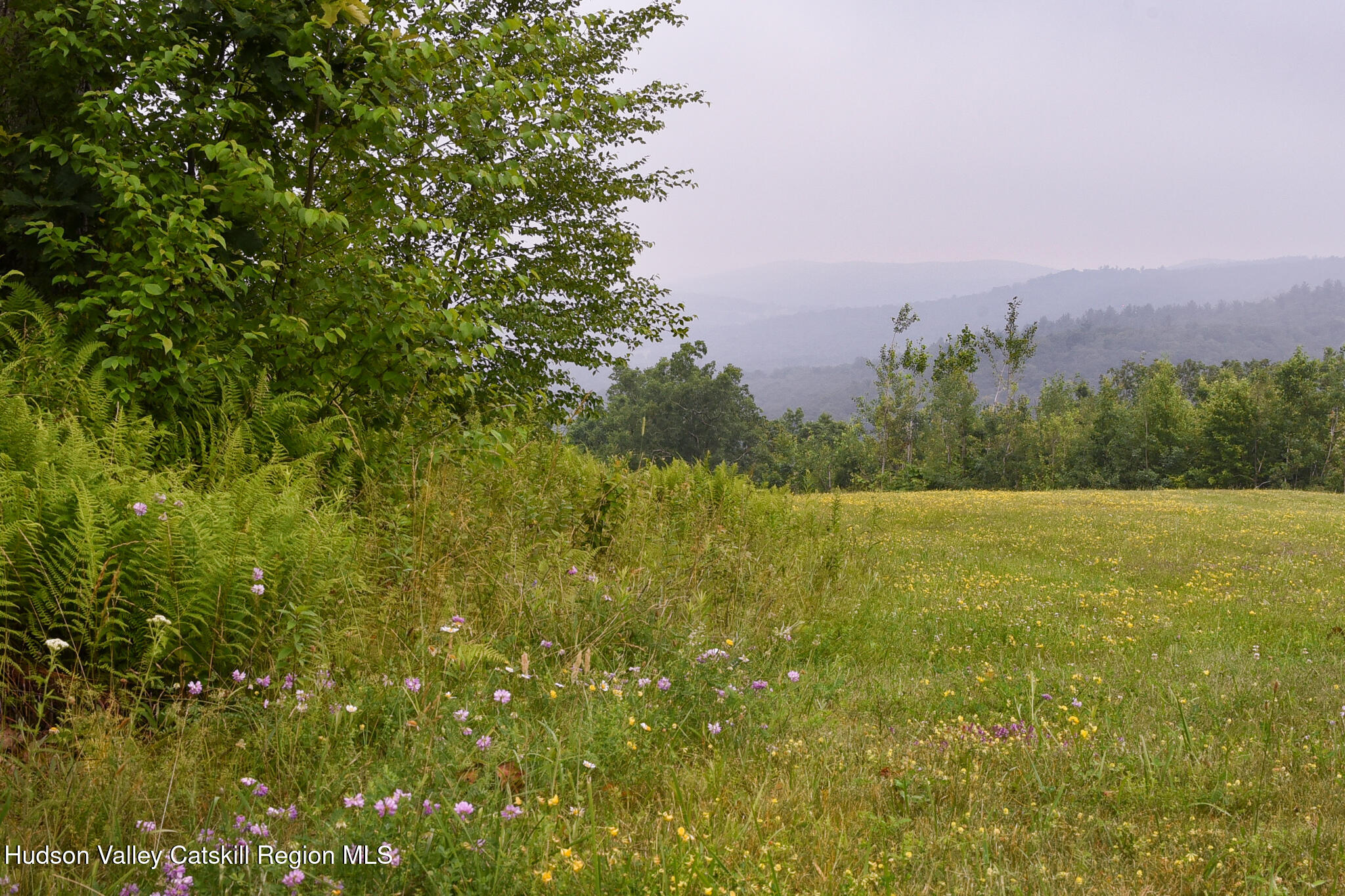 190 Mallory Road Chatham, NY 12037 - Photo 23 of 26 a view of a large yard with lots of green space