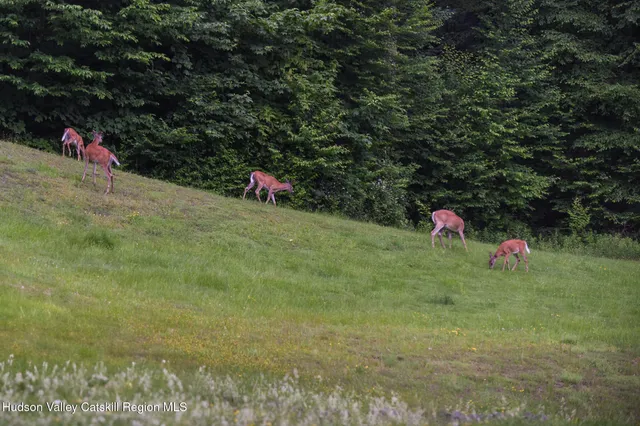 a view of a lake with outdoor space