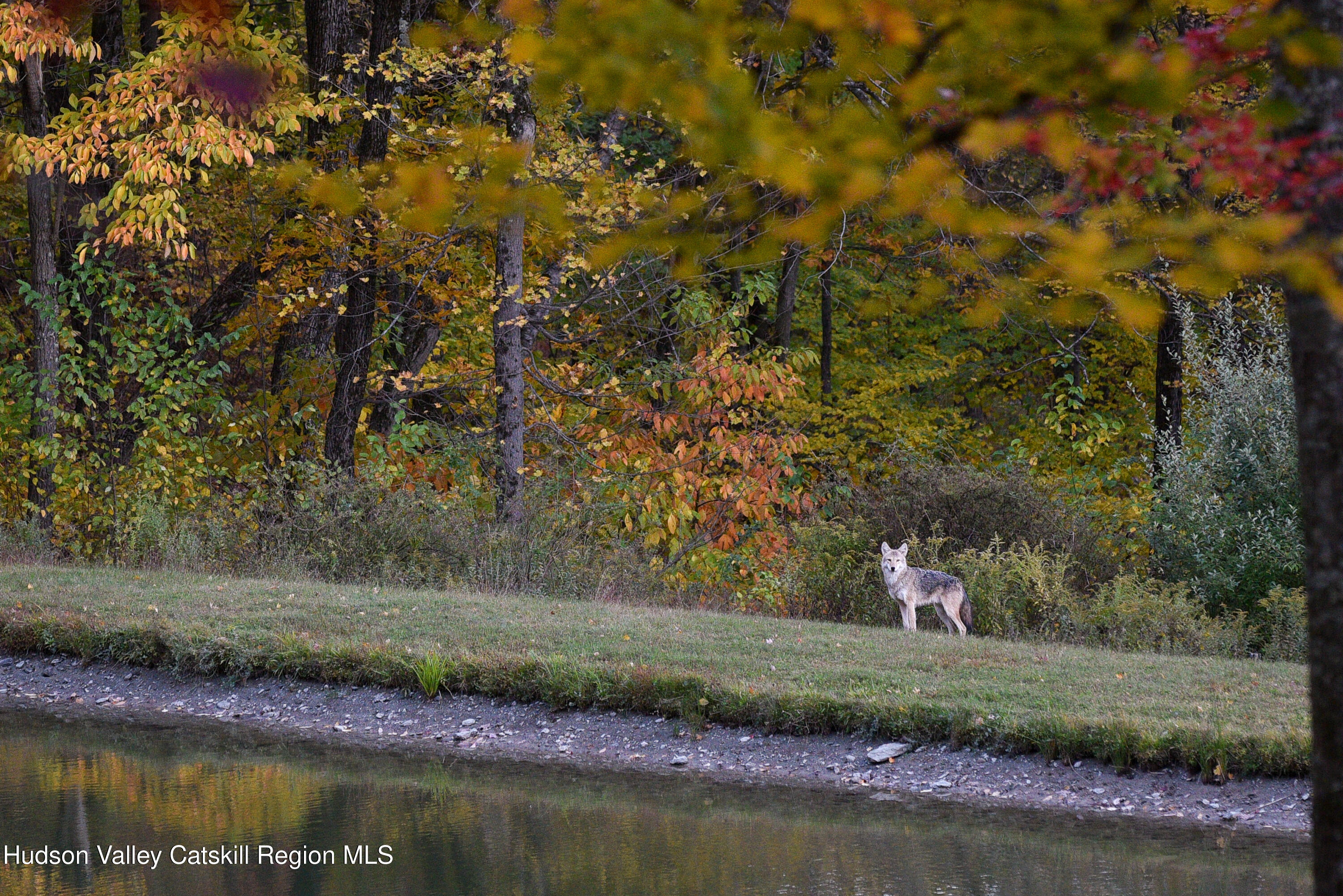 190 Mallory Road Chatham, NY 12037 - Photo 26 of 26 a view of a lake with outdoor space