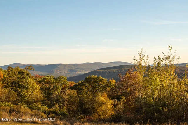 an aerial view of mountain with trees