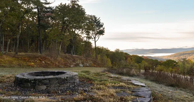 a view of a backyard with plants and trees