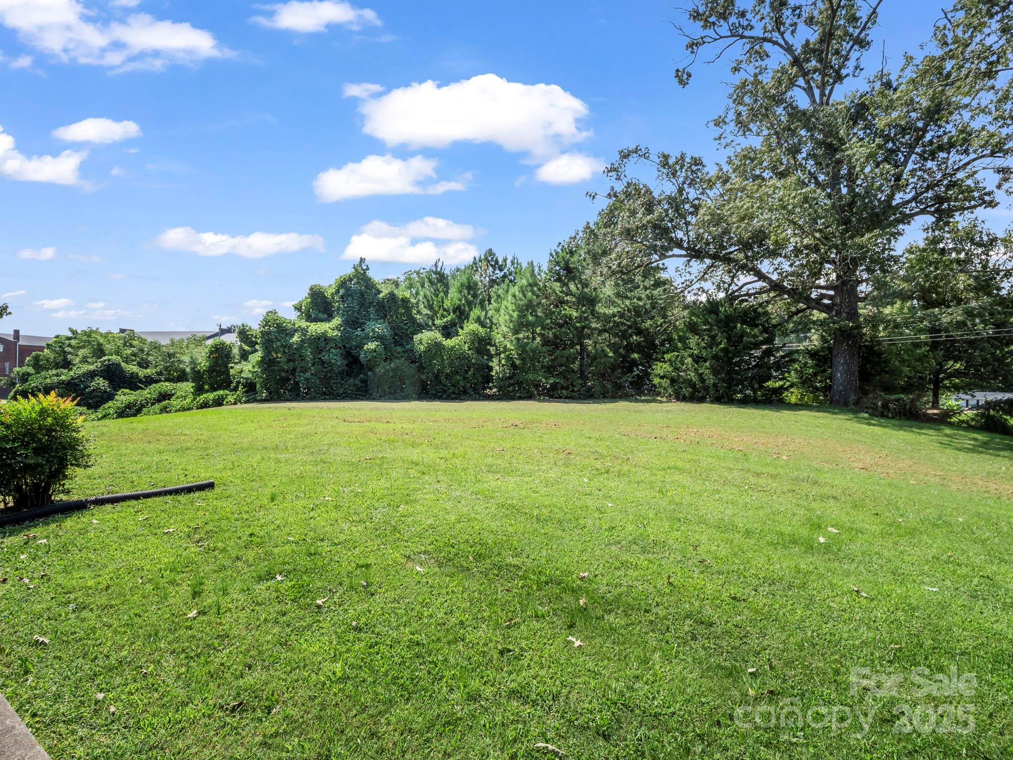 256 School Road Mill Spring, NC 28756 - Photo 36 of 37