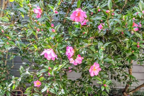 $2,350,000 | 105 Belvedere Street, San Francisco, CA 94117