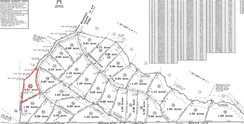 $175,000 | Lot 55 Mountain Laurel Ridge, Mineral Bluff, GA 30559