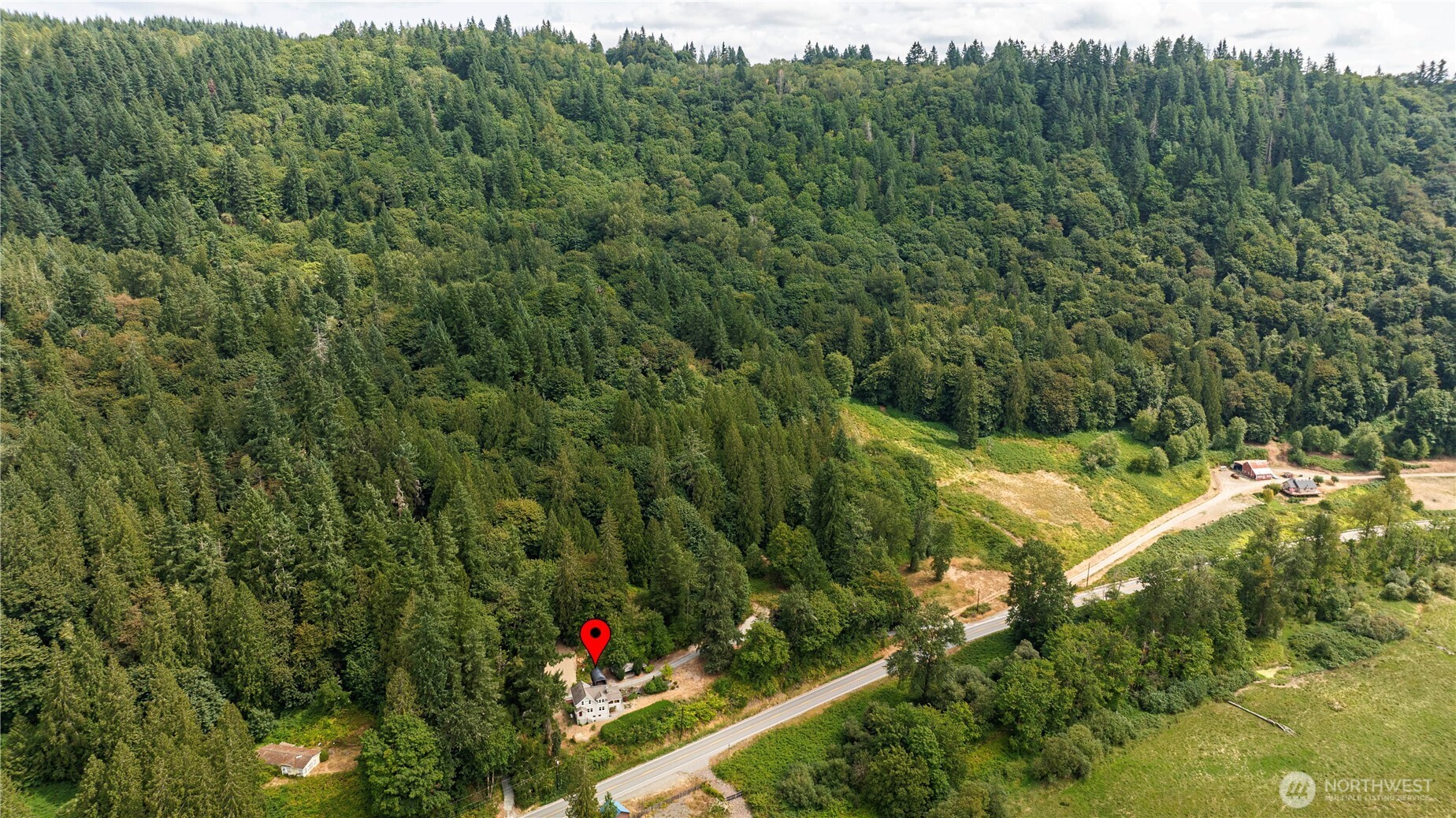 20226 Duvall Monroe Road Northeast Duvall, WA 98019 - Photo 34 of 38 a view of a garden with a tree