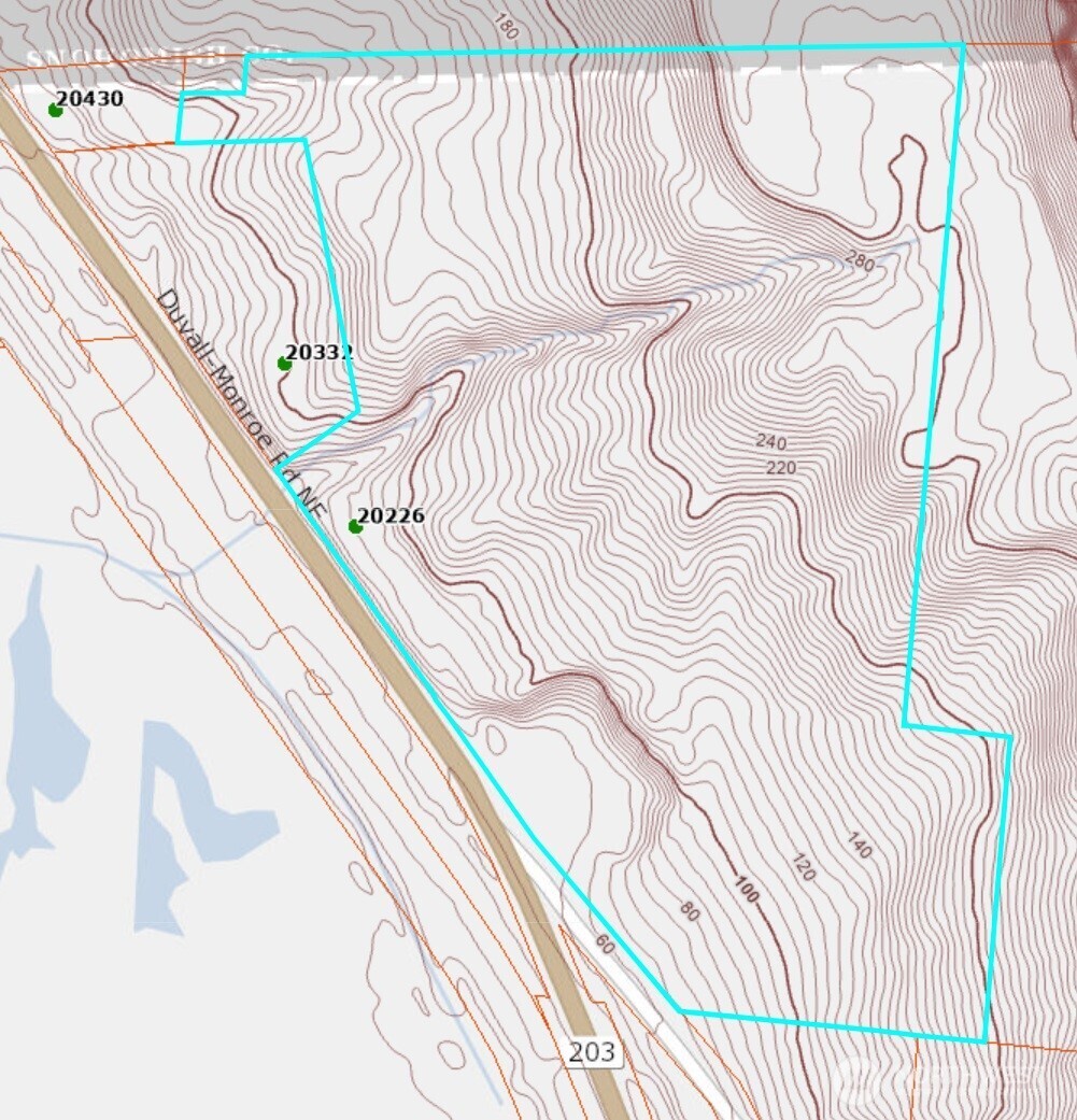 20226 Duvall Monroe Road Northeast Duvall, WA 98019 - Photo 38 of 38 a white and black white bedspread