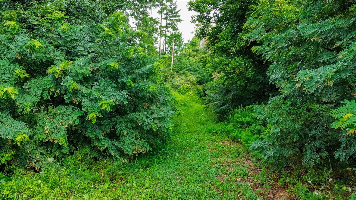 Ogles Ridge Road Dexter City, OH 45727 - Photo 40 of 48