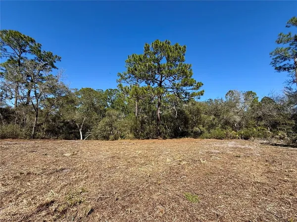 a view of a field with a tree in the background