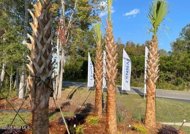 $339,300 | 3366 Wood Stork Drive, Unit LITCHFIELD IL LOT 79, Ocean Isle Beach, NC 28469