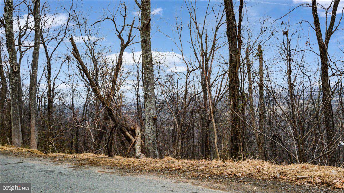 2621 Lookout Road Haymarket, VA 20169 - Photo 5 of 11 a view of a yard covered with snow in the background