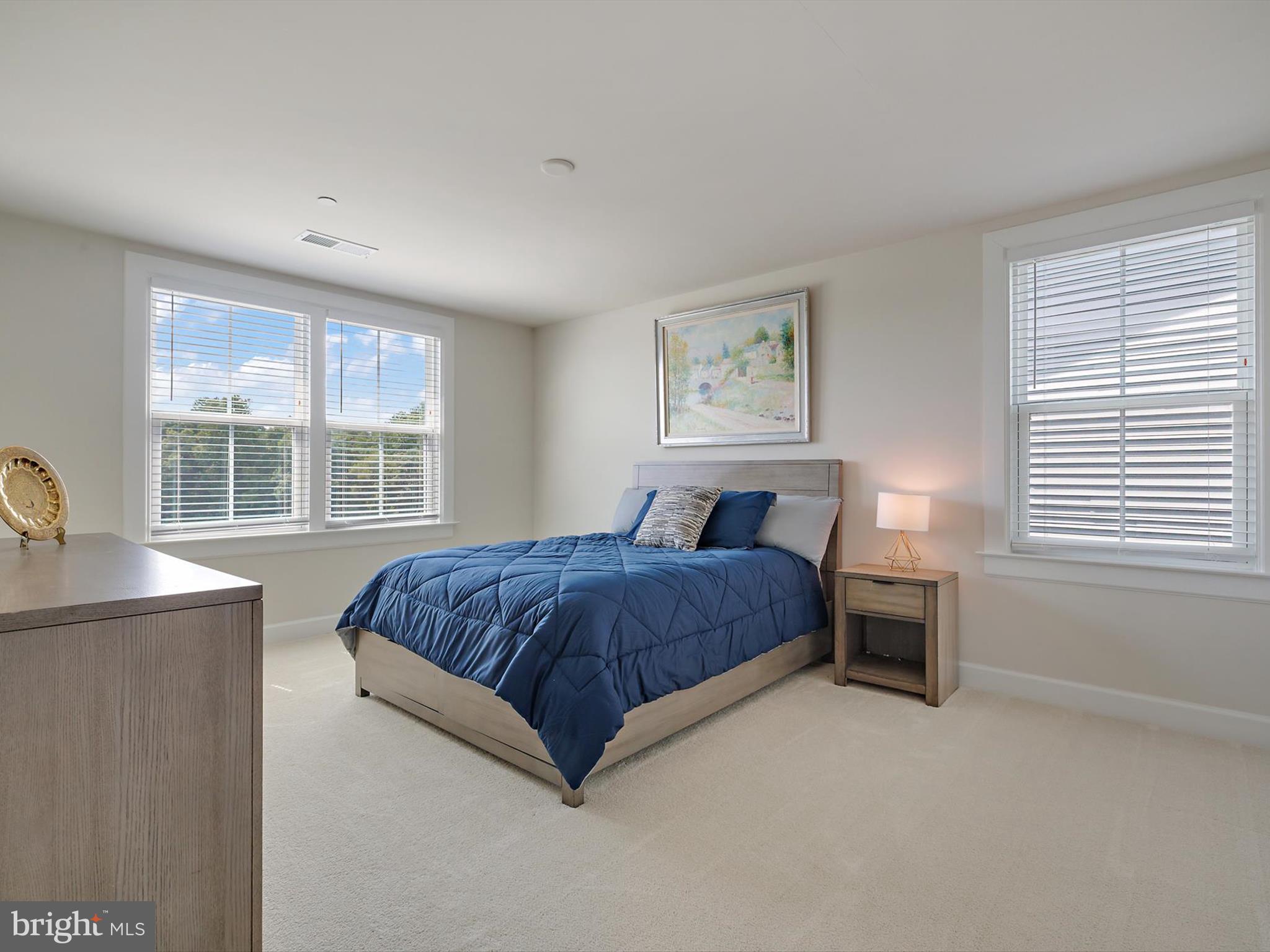 3067 Spring Peeper Court Odenton, MD 21113 - Photo 32 of 72 Gallery Image 32