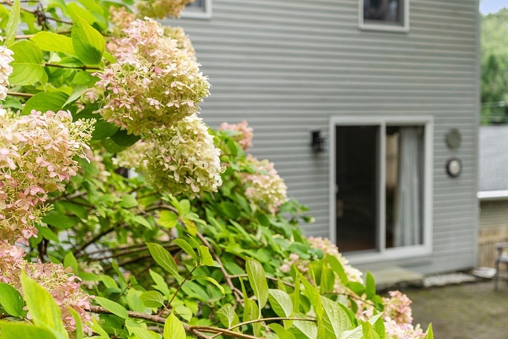 34 Elm Road Westford, MA 01886 - Photo 5 of 42 Gallery Image 5