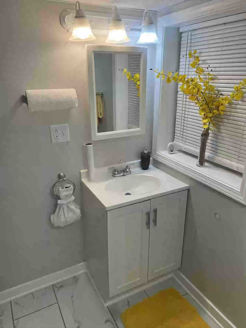 10434 South Wentworth Avenue, Unit GARDEN Chicago, IL 60628 - Photo 9 of 14 a bathroom with a sink and a mirror