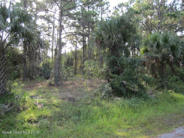 767 Gibbons Road Southwest Palm Bay, FL 32908 - Photo 3 of 7 VIEW OF LOT