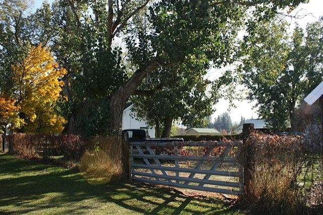 11921 North Main Street Mead, WA 99021 - Photo 7 of 17 Gallery Image 7