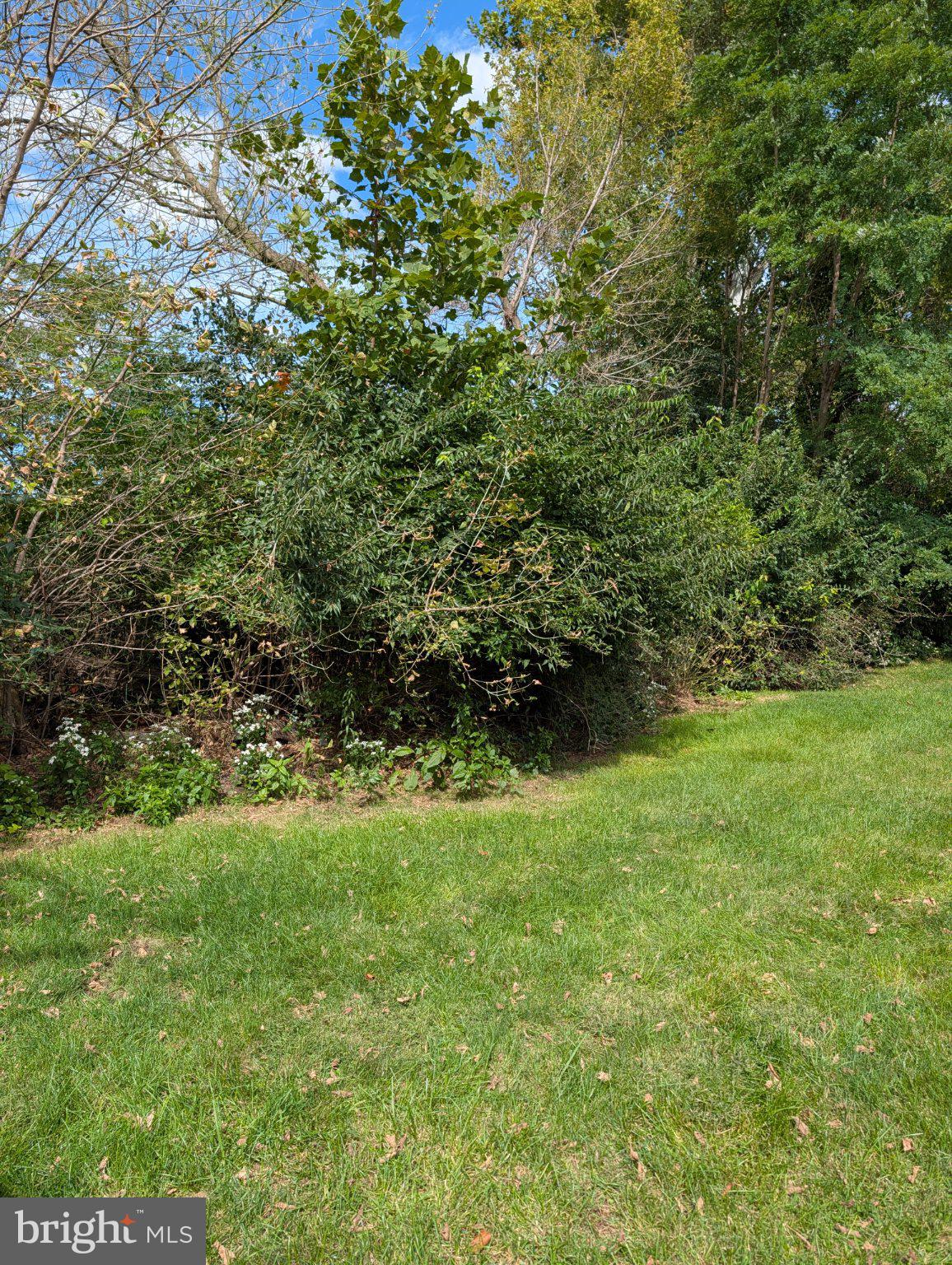 128 Bordic Road Reading, PA 19606 - Photo 3 of 23 Gallery Image 3