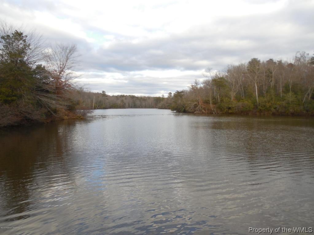 9947 Swallow Ridge Toano, VA 23168 - Photo 6 of 6 Viewf Mill Pond at Stonehouse