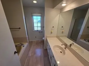a bathroom with a sink a mirror and a toilet