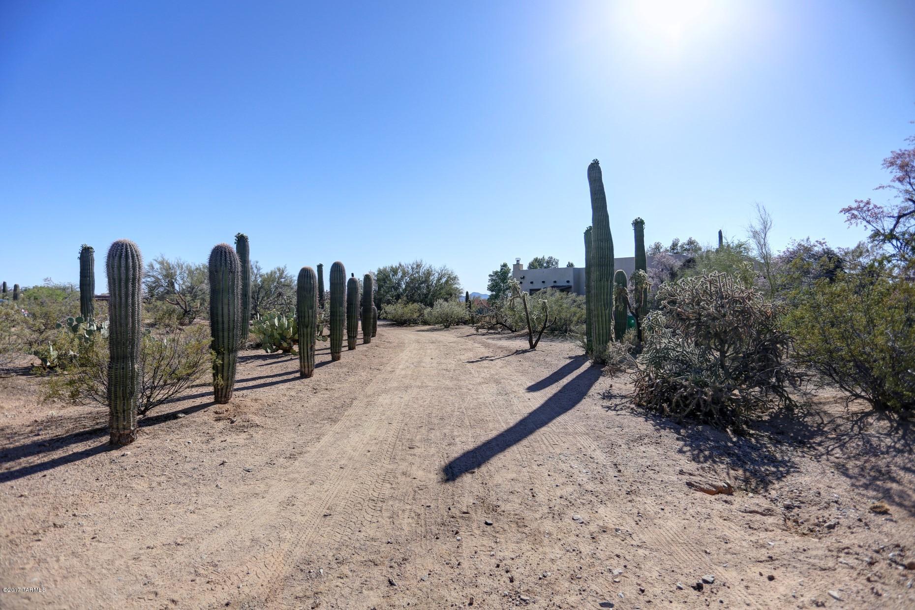 4305 North Sanders Road Tucson, AZ 85743 - Photo 33 of 42 Gallery Image 33