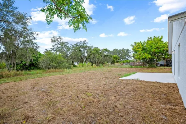 a view of a yard with a tree
