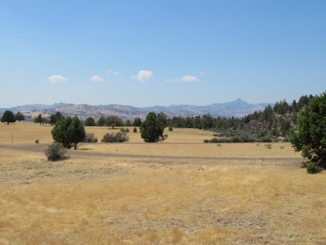 Lot 185 Iron Gate Road Hornbrook, CA 96044 - Photo 6 of 8 Gallery Image 6