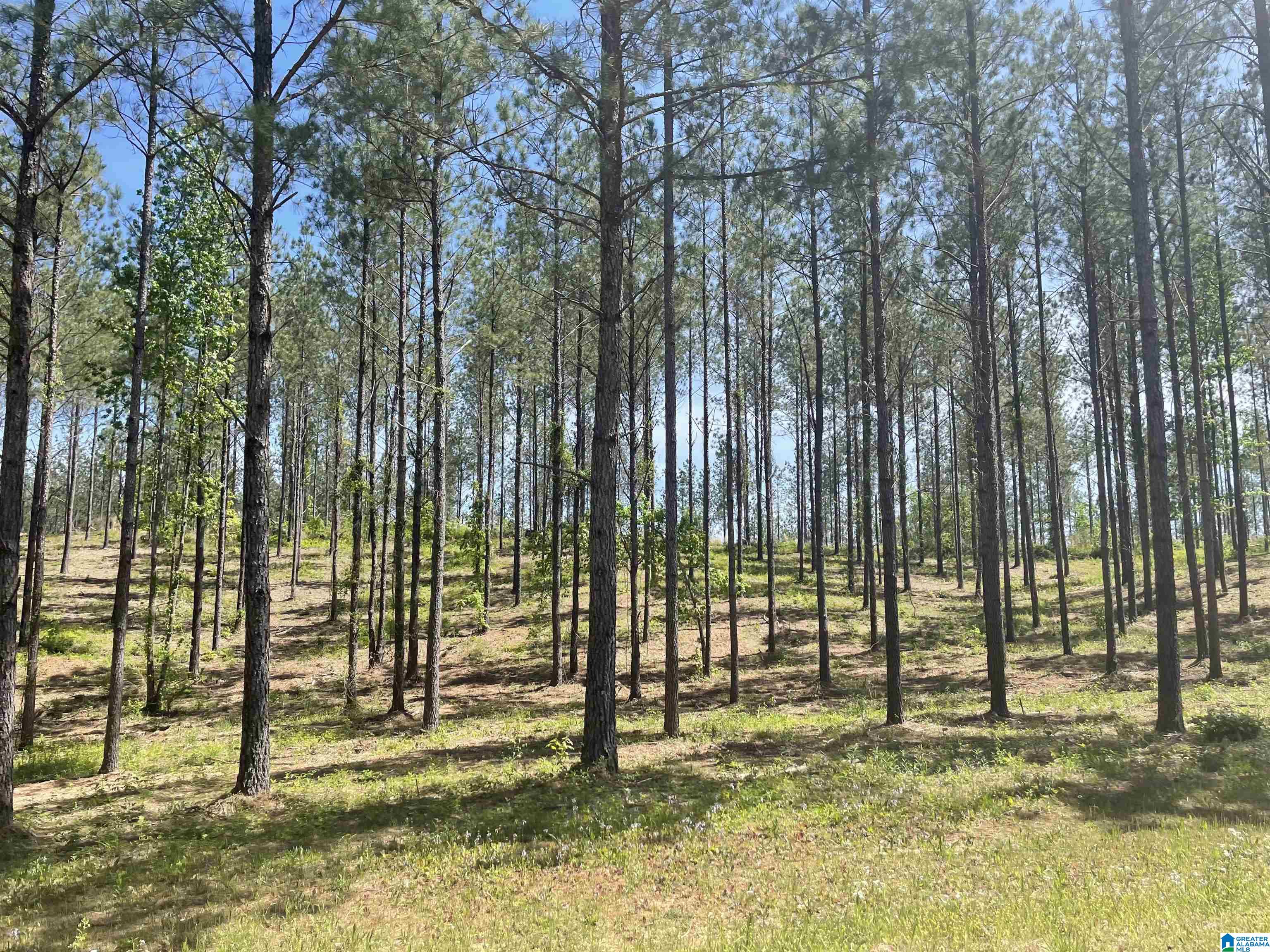 6559 Joinertown Road, Unit 2 Columbiana, AL 35051 - Photo 1 of 4