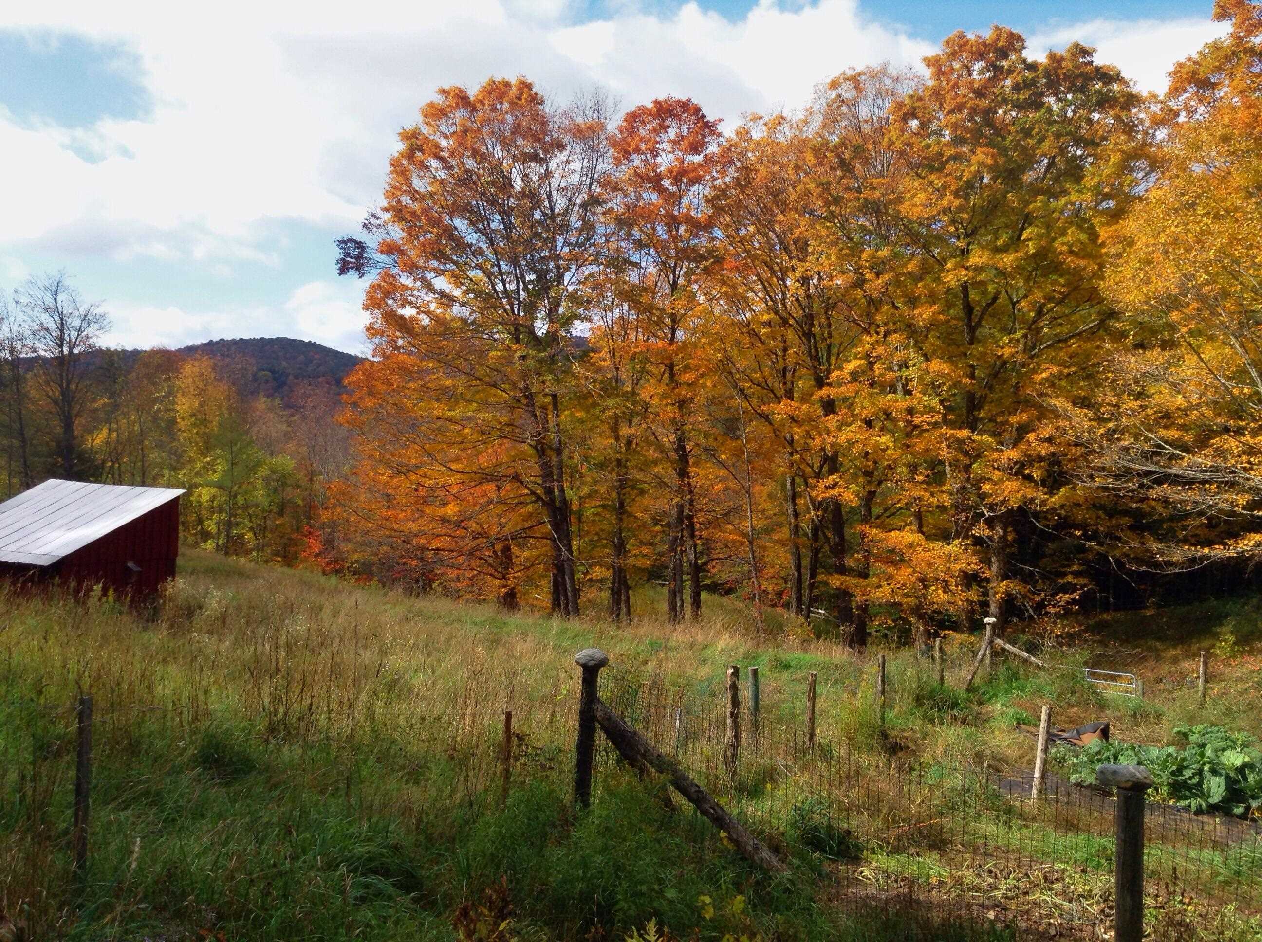 26 Drew Road Tunbridge, VT 05077 - Photo 3 of 40