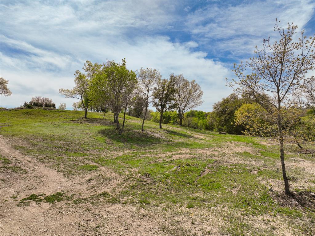 1330 Old Annetta Road Aledo, TX 76008 - Photo 14 of 23 a view of yard with tree s
