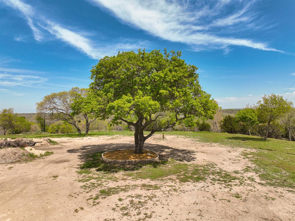 1330 Old Annetta Road Aledo, TX 76008 - Photo 20 of 23 a view of a yard with a tree