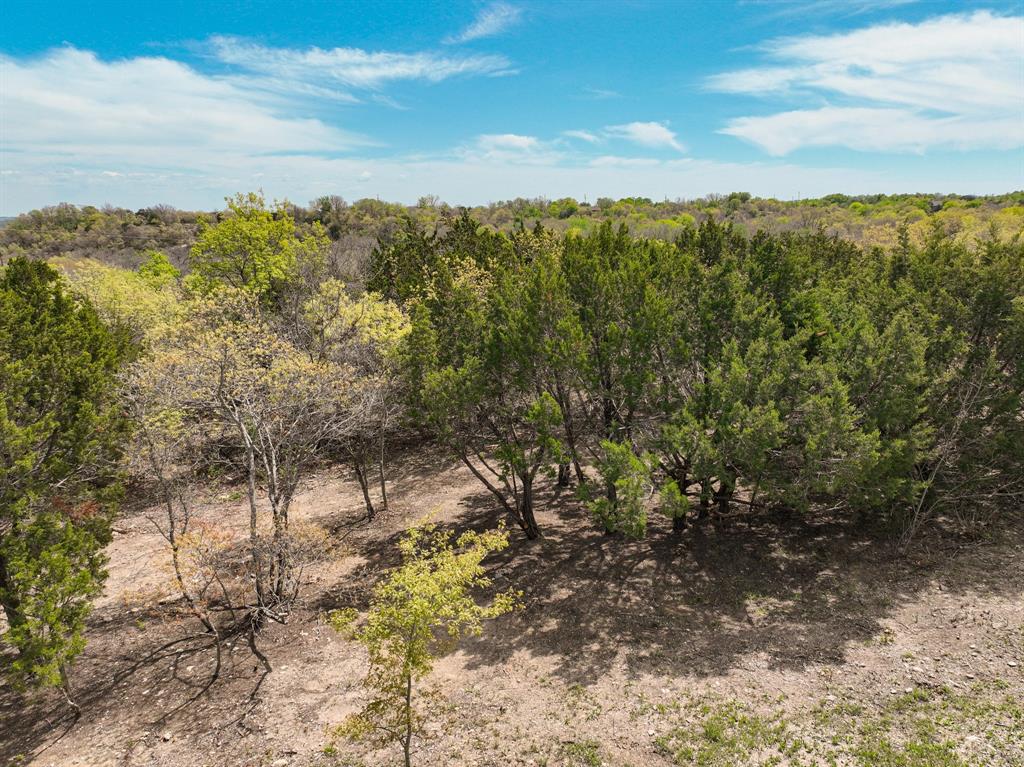 1330 Old Annetta Road Aledo, TX 76008 - Photo 22 of 23 a view of a yard with a house in the background