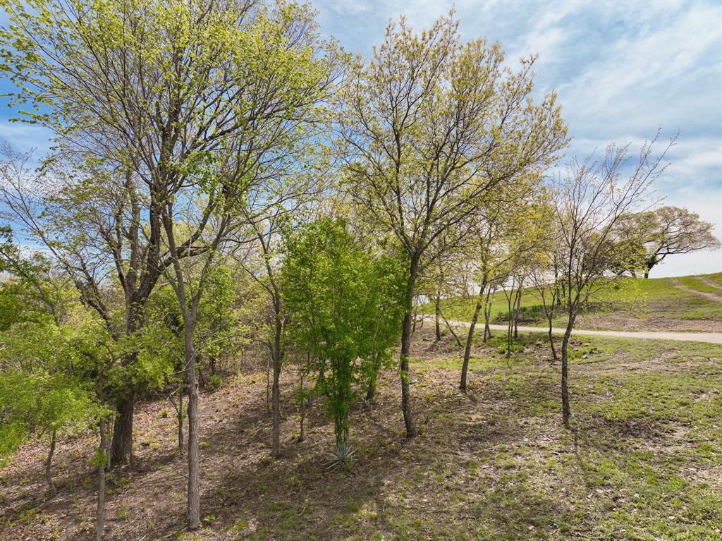1330 Old Annetta Road Aledo, TX 76008 - Photo 6 of 23 a view of outdoor space