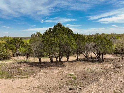 a view of three trees with a view of trees