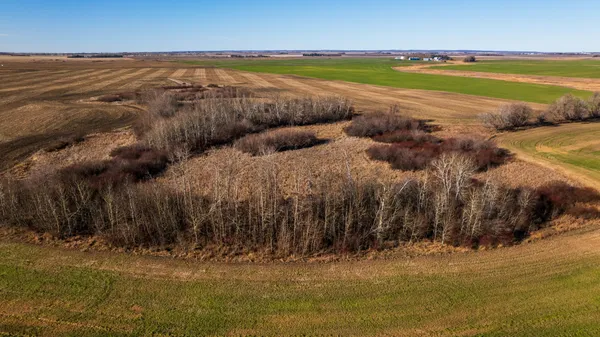 $1 | 95 St Ne Parcel 2 Rolla Nd 58367, Rolla, ND 58363